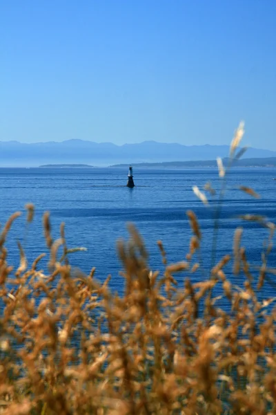 Kustlijn, victoria, bc, canada — Stockfoto