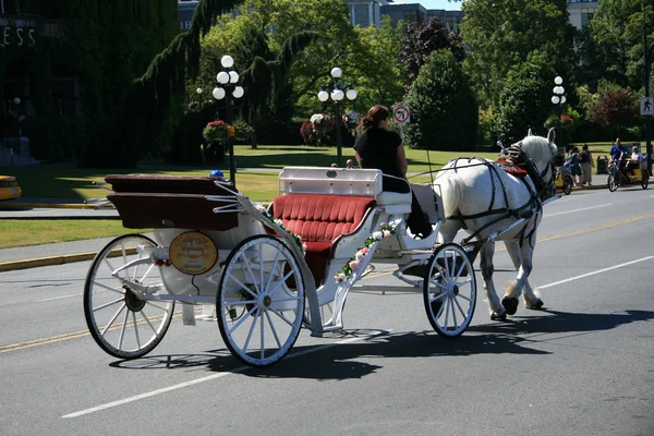 Konia i wóz - victoria, bc, Kanada — Zdjęcie stockowe
