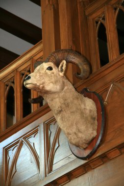 iç hatley Kalesi, victoria, bc, Kanada