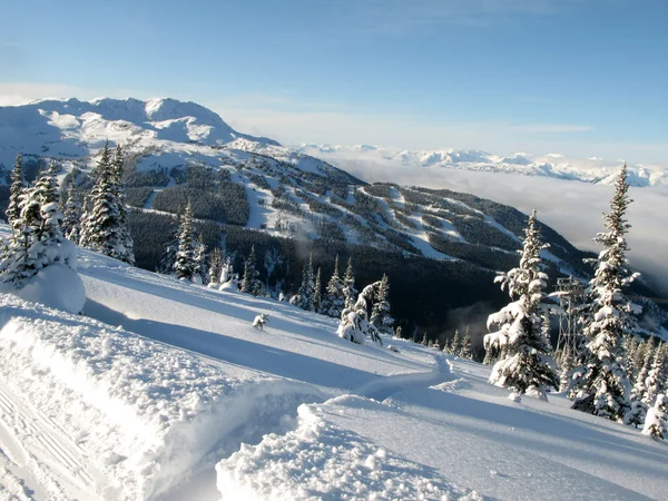 Blackcomb Mountain - Whister, BC, Canadá — Foto de Stock