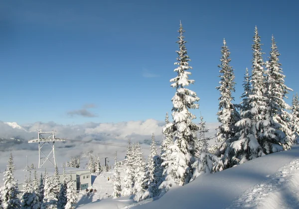 Fekete sapka Mountain - Whister, Bc, Kanada — Stock Fotó