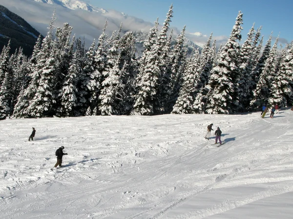 ブラッコム山 - whister、bc、カナダ — ストック写真