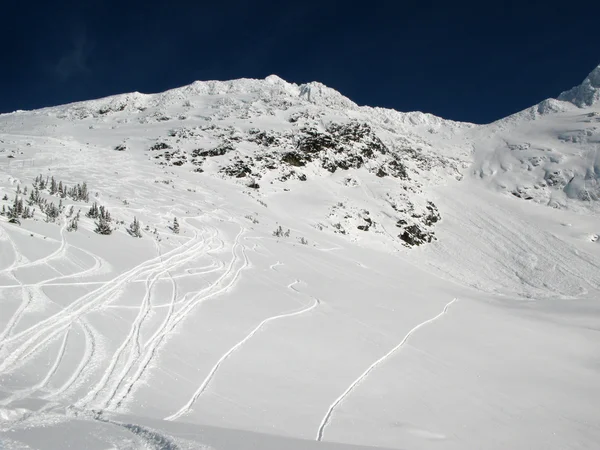 Blackcomb Mountain - Whister, BC, Canadá — Fotografia de Stock