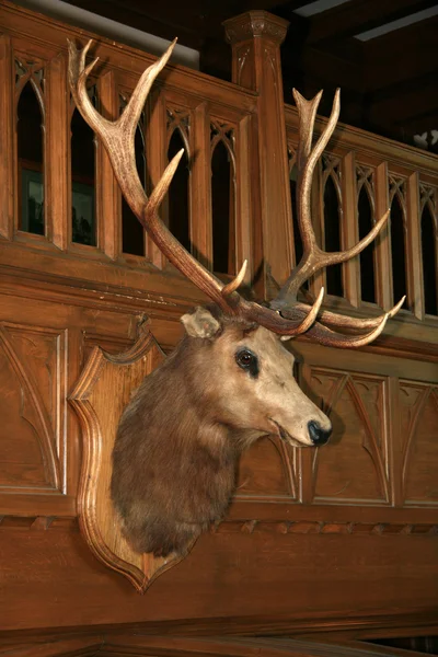 Innenraum von Hatley Castle, Victoria, BC, Kanada — Stockfoto