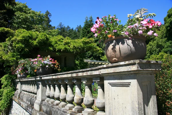 Trädgårdar på hatley castle, victoria, bc, Kanada — Stockfoto