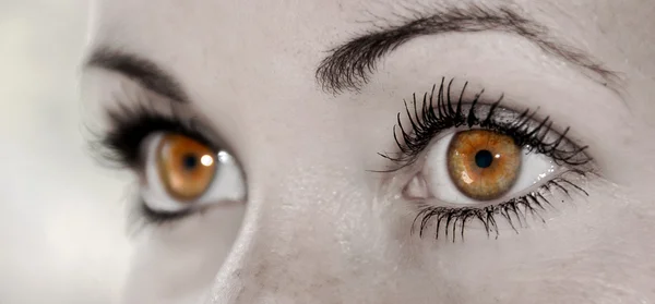 Hazel Eye - Bella, Femminile — Foto Stock