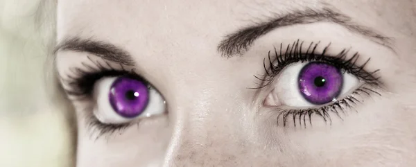 Purple Eye - Озил, Feminine — стоковое фото