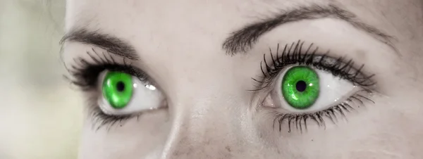 Grüne Augen - schön, feminin — Stockfoto