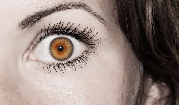 Hazel Eye - Bella, Femminile — Foto Stock