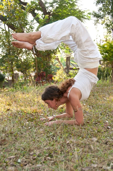 女性瑜伽大师 — 图库照片