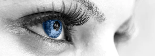 Blå öga - vackra, feminina Stockfoto