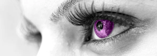 Purple Eye - Beautiful, Feminine — Stock Photo, Image