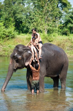 fil - chitwan np, nepal