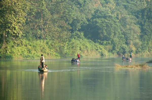Річка в Читван Np, Непал — стокове фото