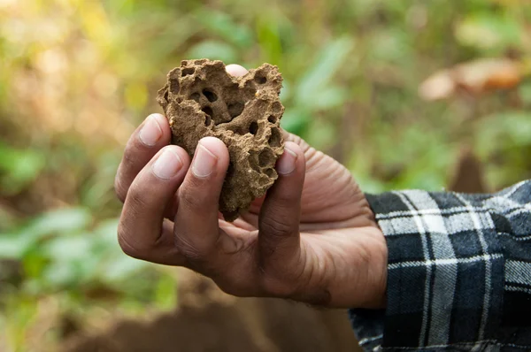 Chitwan Np, 네팔에서 흰개미 마운드 — 스톡 사진