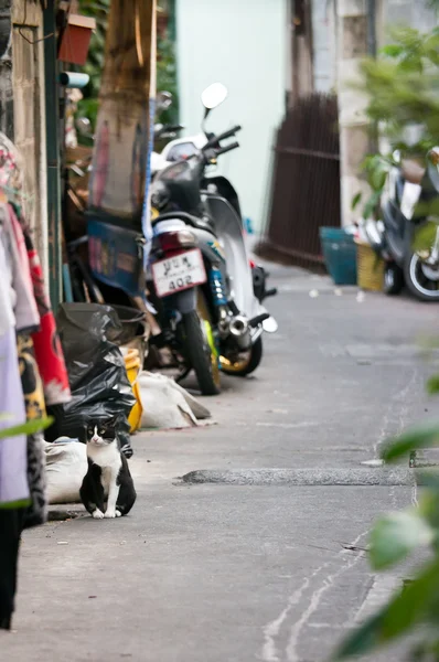 Straßenleben, Bangkok — Stockfoto
