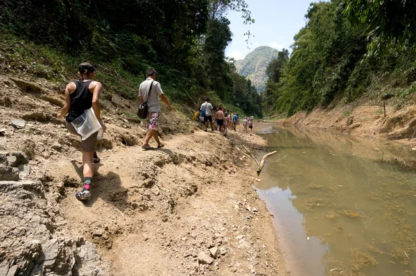 Khao Sok N.P. — Zdjęcie stockowe