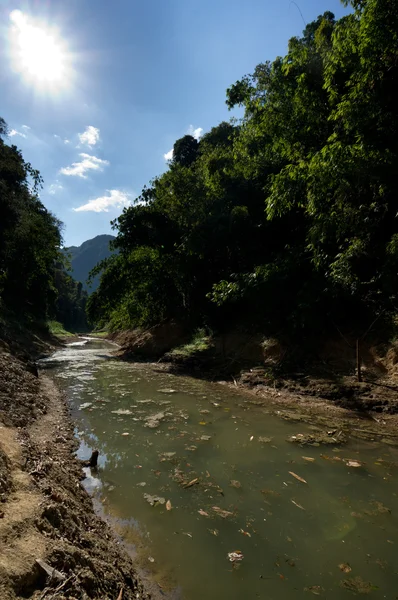 Khao Sok N.P. . — Photo