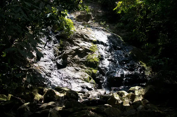 Khao Sok N.P. . — Foto Stock