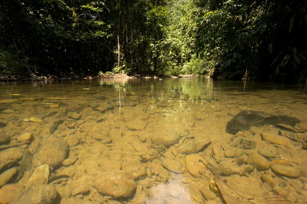 Khao sok István. — Stock Fotó