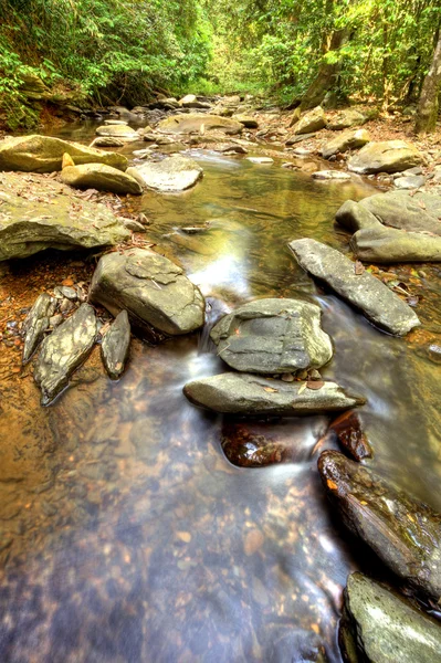 Khao Sok N.P. — Stock Photo, Image