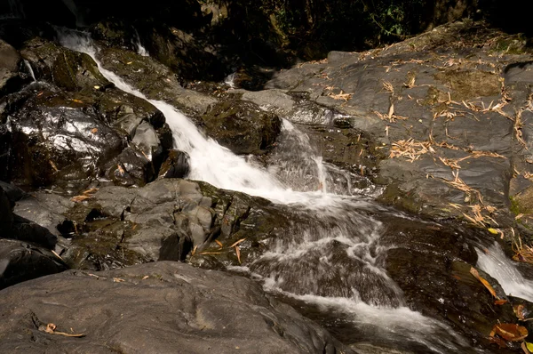 Sipet Chan Waterfall - Khao Sok N.P. — Stock Photo, Image