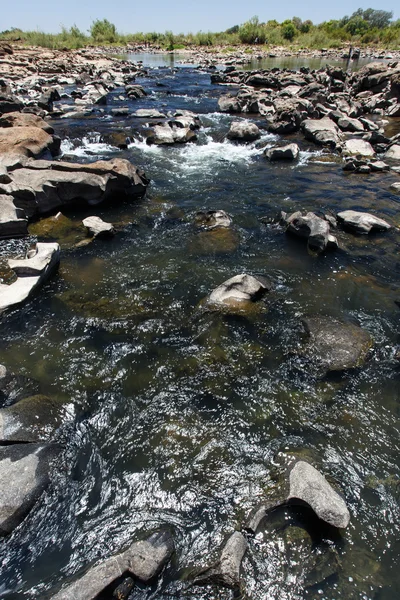 Zambezi River Above Victoria Falls — Stock Photo, Image