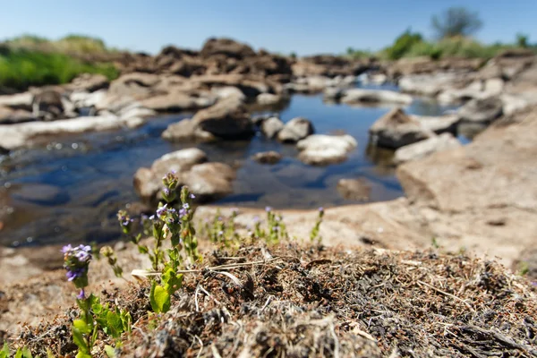 Řeka Zambezi nad Viktoriiny vodopády v Africe — Stock fotografie