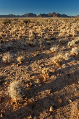 SOSSUSVLEI, Namibië