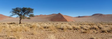 SOSSUSVLEI, Namibië