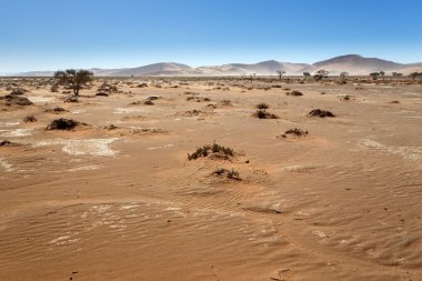 SOSSUSVLEI, Namibië