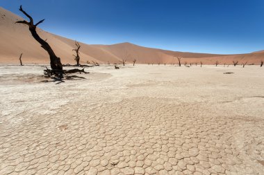 ölü vlei - sossusvlei, Namibya