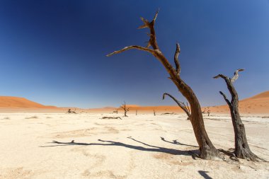 ölü vlei - sossusvlei, Namibya