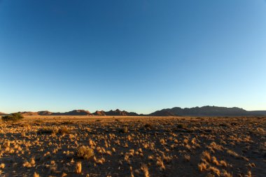 SOSSUSVLEI, Namibië