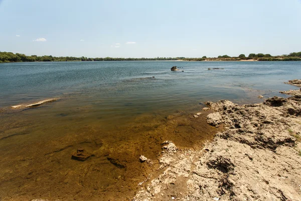 Rzeki Zambezi - namibia — Zdjęcie stockowe