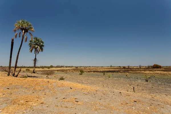 Katima Mulio - Namibia — Stock Photo, Image