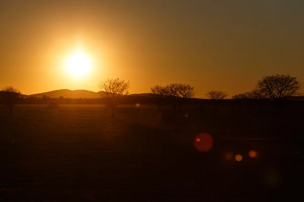 Etosha Safari Park na Namíbia — Fotografia de Stock