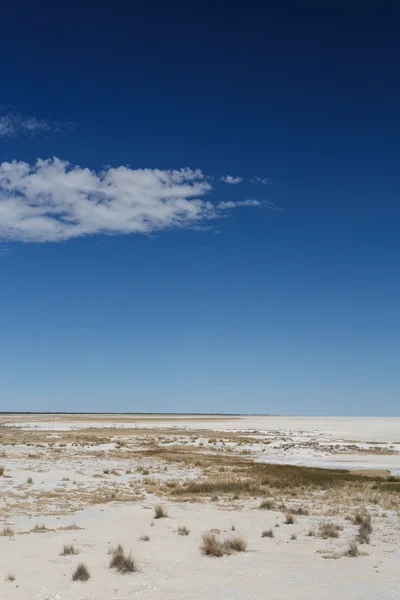 Etosha Safari Park in Namibia — Stockfoto