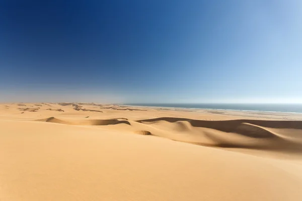 Öken i namibia, Afrika — Stockfoto