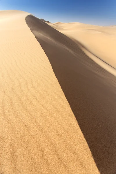 Wüste in namibia, Afrika — Stockfoto