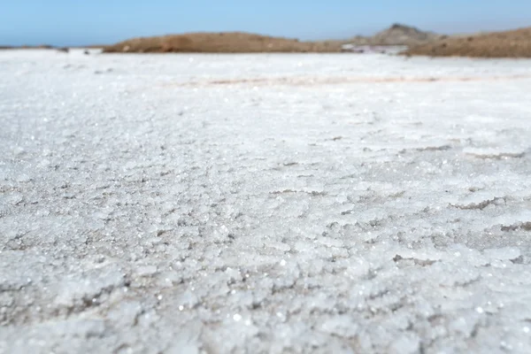 Tuz Namibya'da çalışır — Stok fotoğraf