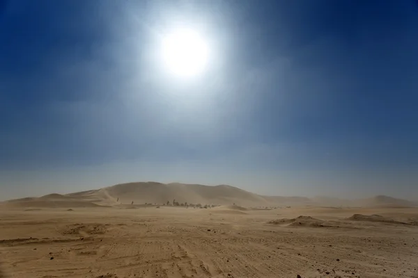 Duna sette in namibia, africa — Foto Stock