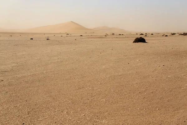 Namibya Afrika Dune yedi — Stok fotoğraf