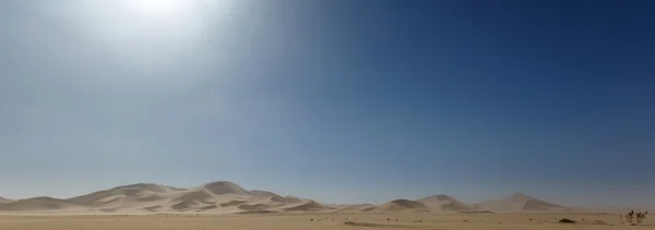 Öken i namibia, Afrika — Stockfoto