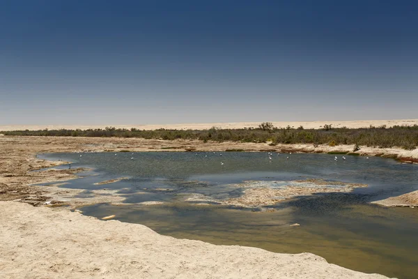 Lagoon in Sossusvlei, Namibia — Stock Photo, Image