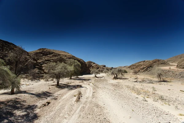 Suche rzeki w susza, namibia — Zdjęcie stockowe