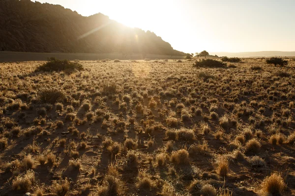 Sossusvlei, Namibie — Stock fotografie