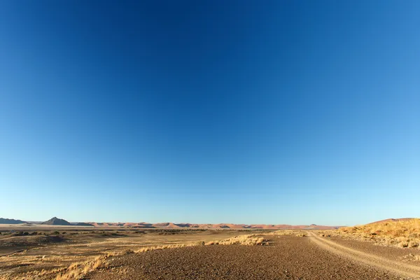 Sossusvlei, Namibia — Foto de Stock