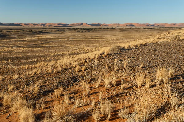 Sossusvlei, Namibie — Photo