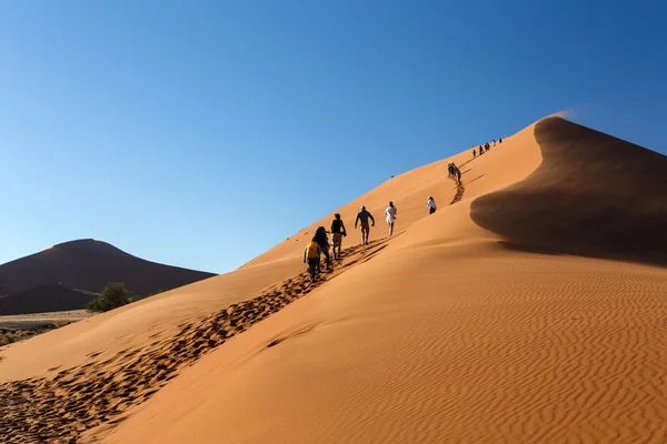 Wydmy nr 45 w susza, namibia — Zdjęcie stockowe